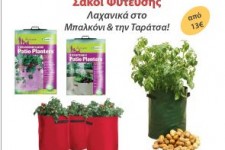 Προσφορές για on line αγορές σε λουλούδια και φυτά fyta loyloydia